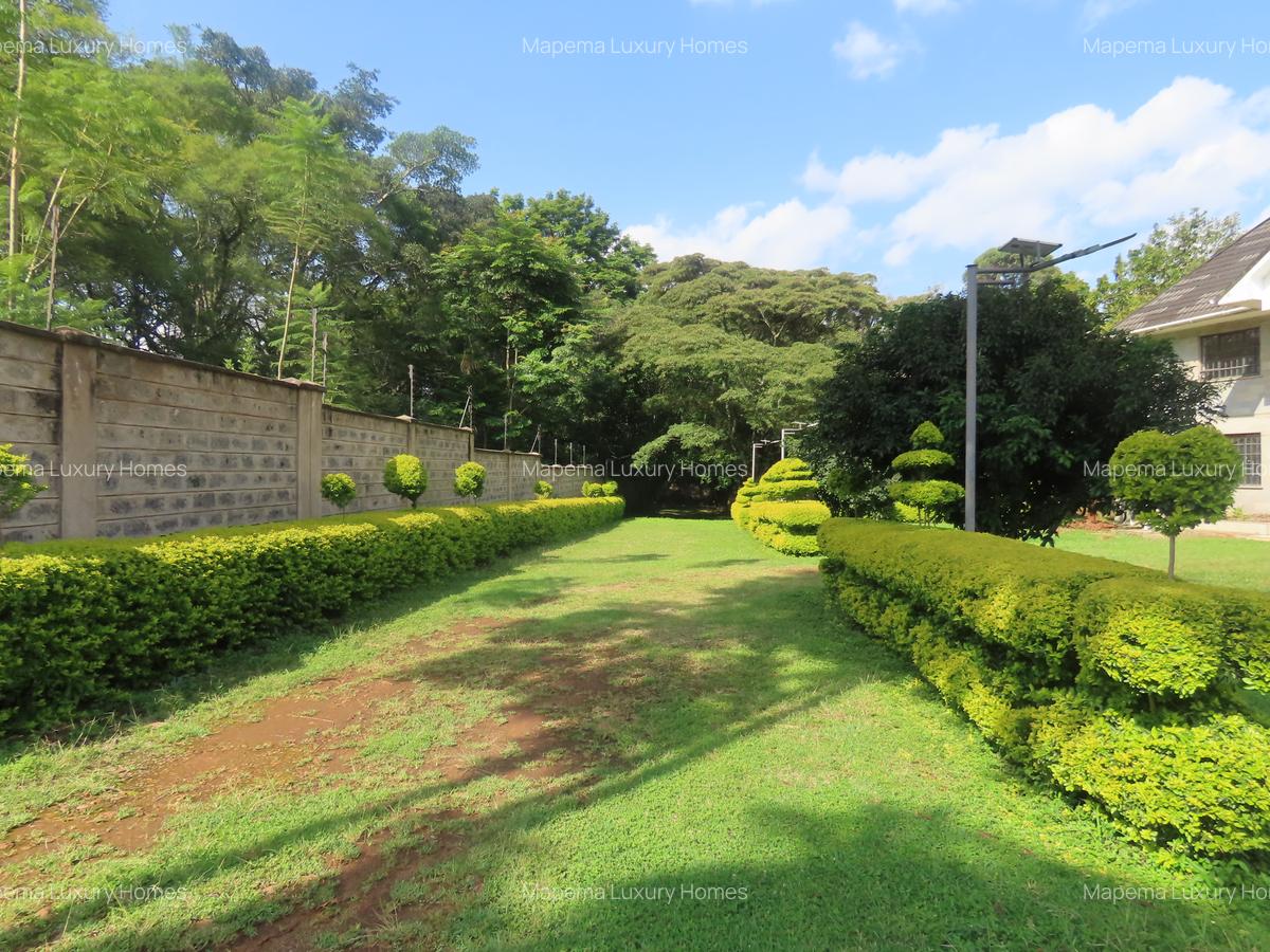 Commercial Property with Service Charge Included at Marula Road - 4