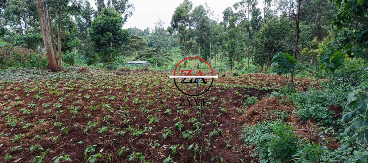 0.125 ac Land at Off Ruaka Banana Road - 2