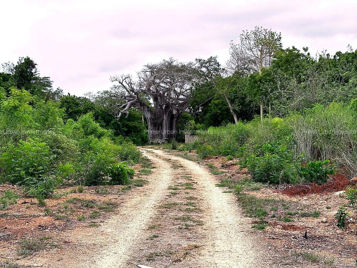10 ac Land at Kuruwitu Vipingo - 3