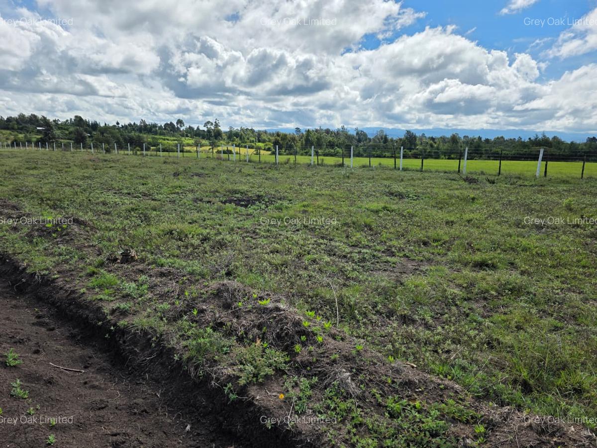 0.040 ha Residential Land in Nanyuki - 9