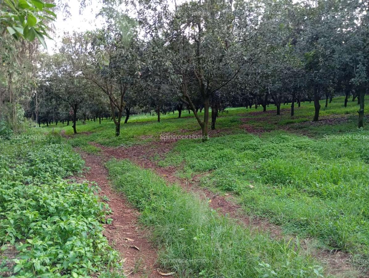 0.125 ac Residential Land at Juja Gatundu Road - 1