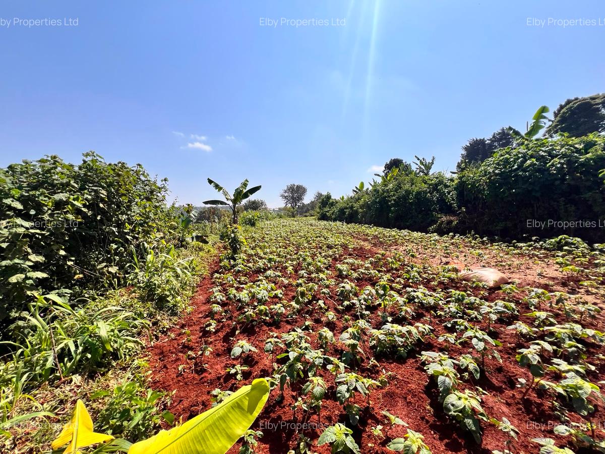 Land in Redhill - 6