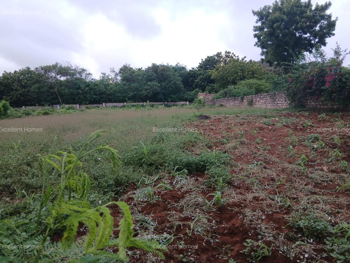 Land at Kikambala - 3