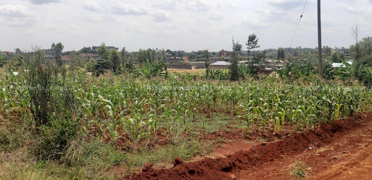 0.125 ac Residential Land at Riverside Drive - 6