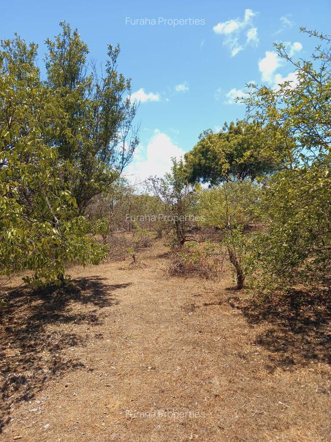 Land at Near Munarani - 2