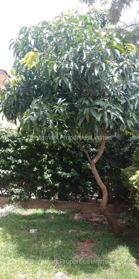 4 Bed Townhouse with En Suite at Langata - 3