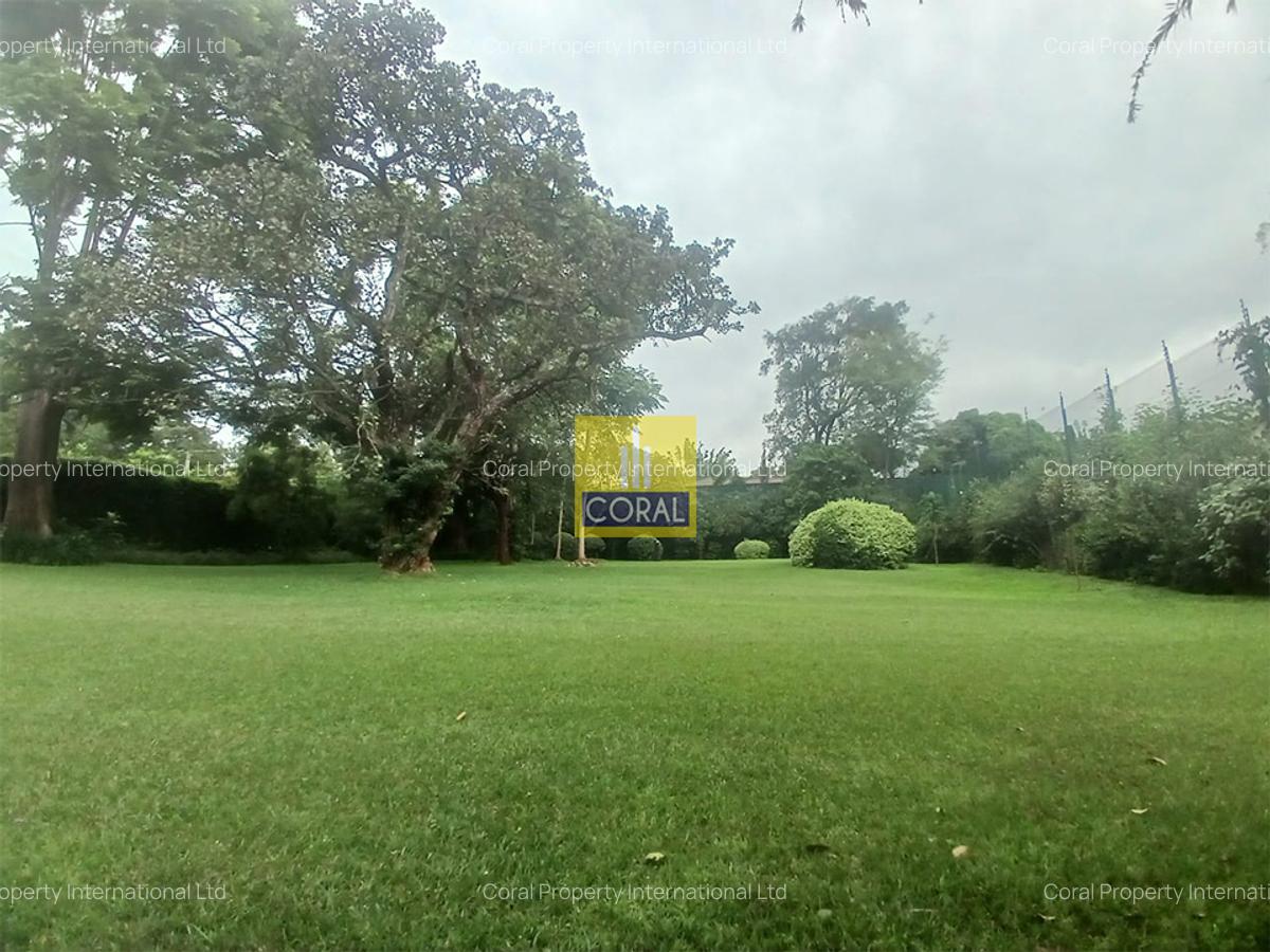 land for sale — image 1 of 1