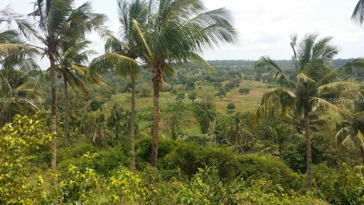 10 ac Land at Ls2295 - 5