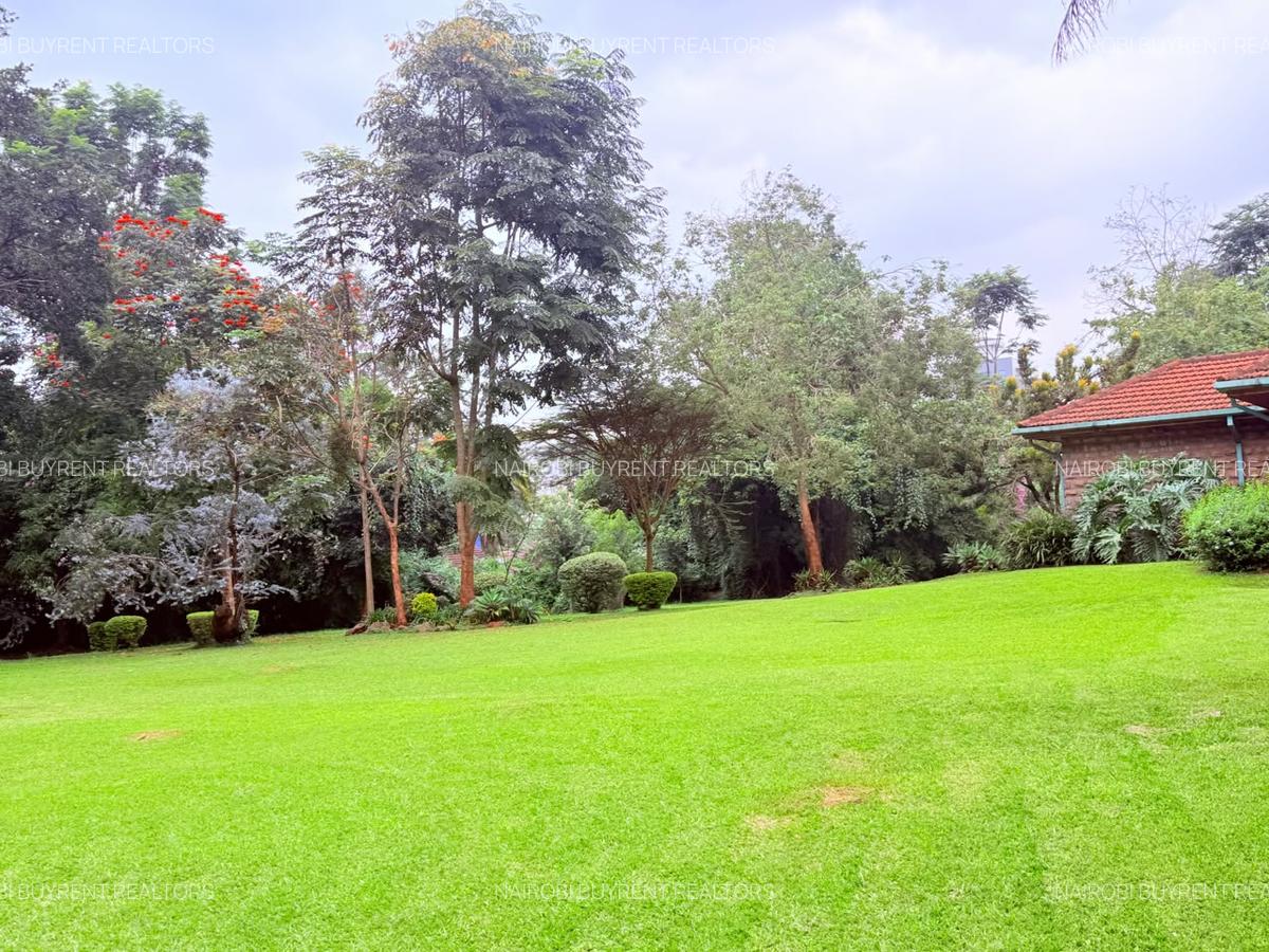 4.1 ac Land in Rosslyn - 11