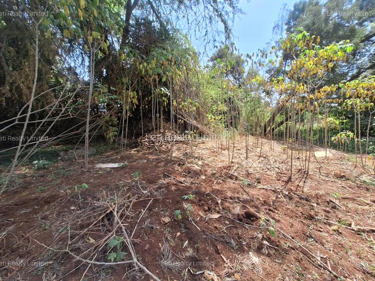 Residential Land in Lavington - 1