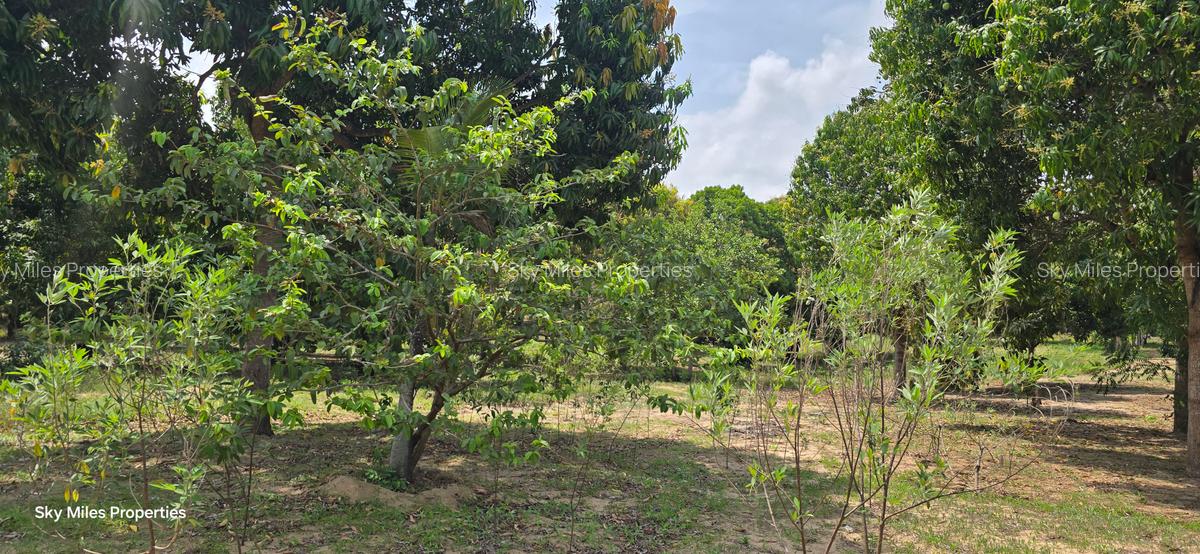 6 ac Land at Mtwapa - 2