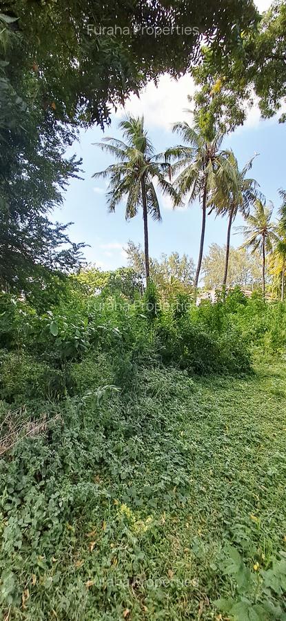 Land at Mtwapa - 5
