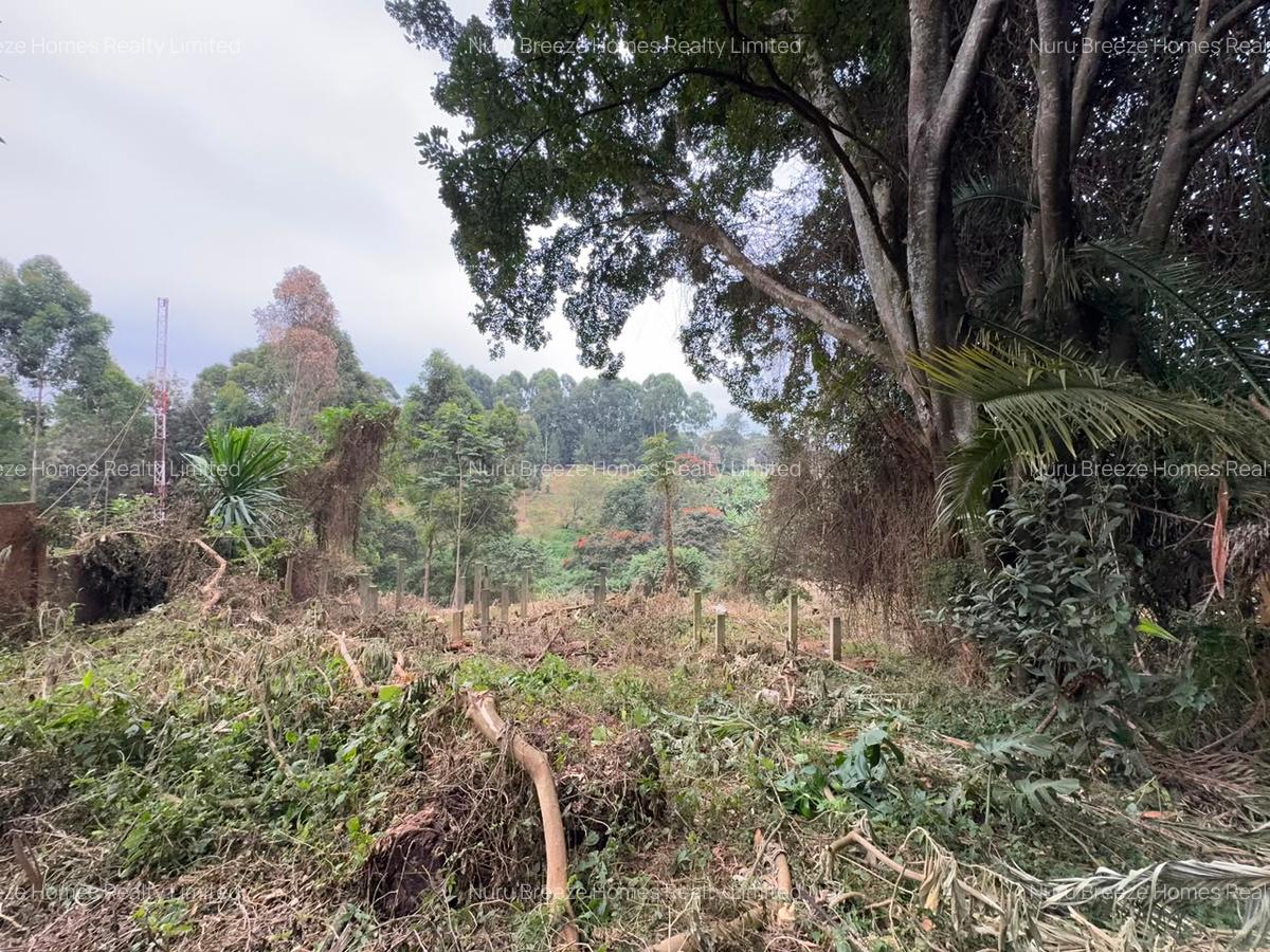 1 ac Land in Kitisuru - 13