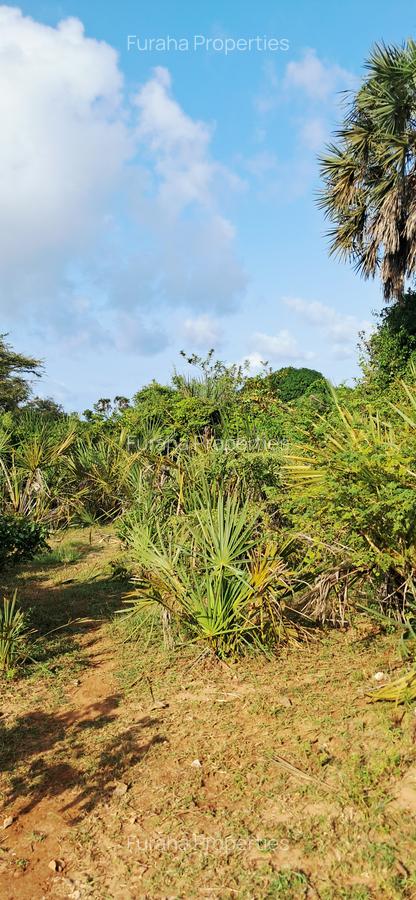 Land at Tiwi Near Diani South Coast - 10