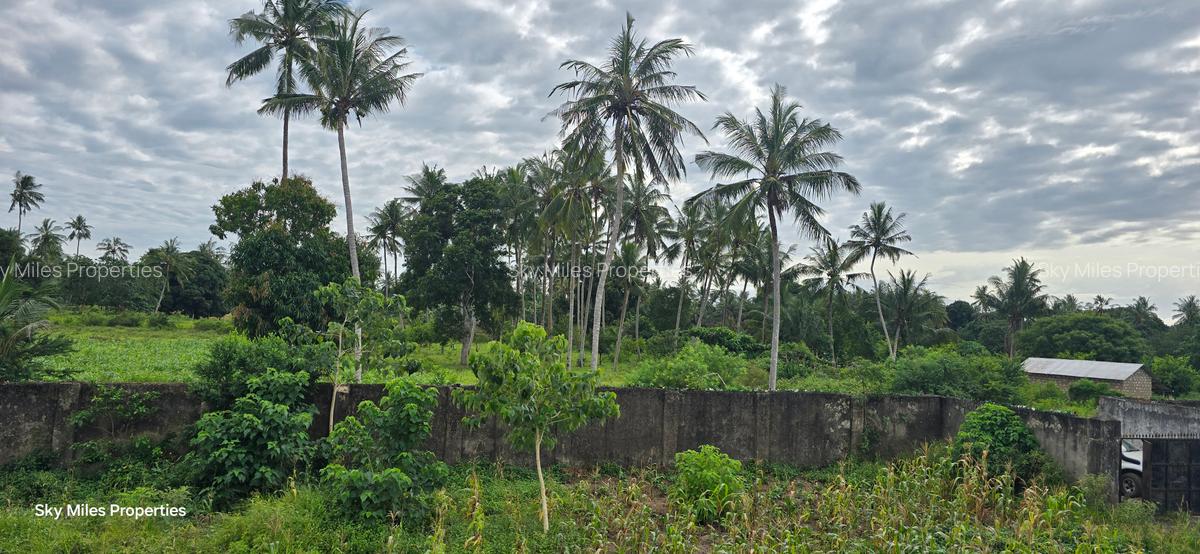 6 ac Land at Bomani - 1