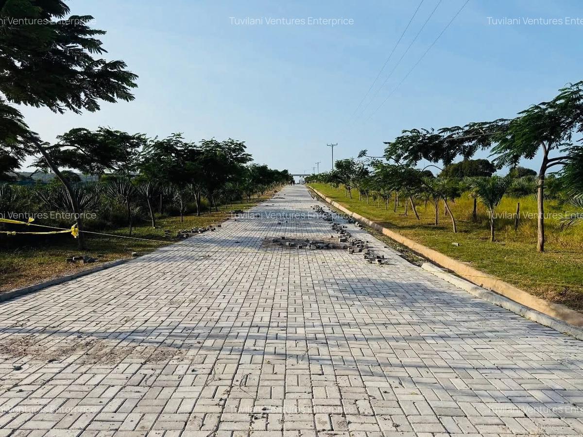 Land at Vipingo - 4