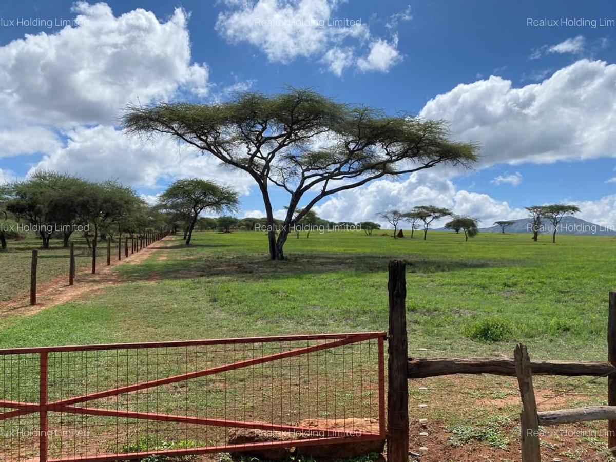 540 ac Land in Bisil - 10