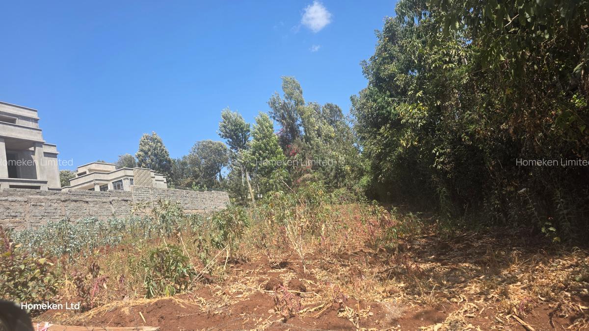 0.25 ac Land at Kerarapon Drive - 3