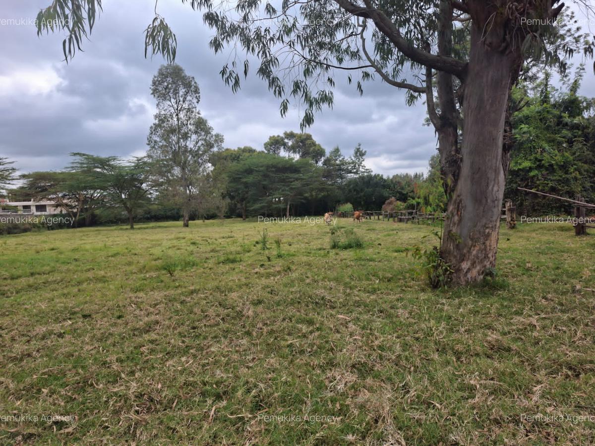 1 ac Residential Land at Kumbe Road - 2