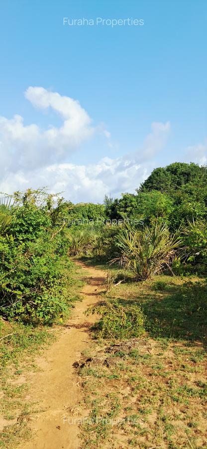 Land at Tiwi Near Diani South Coast - 11