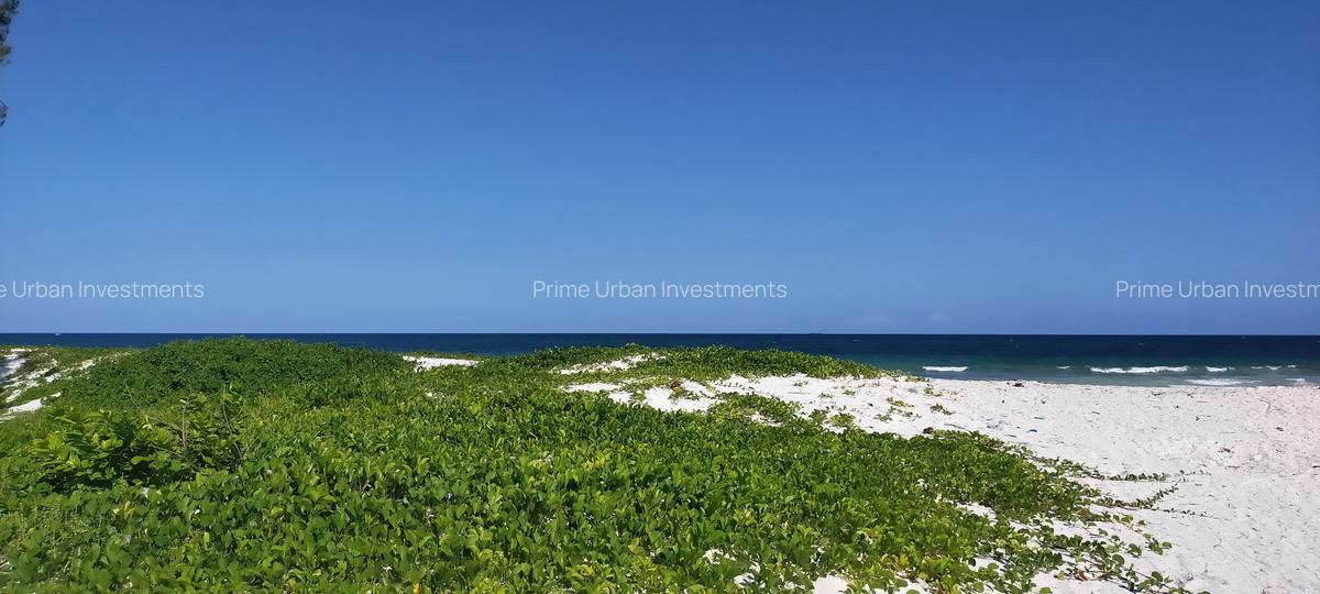 Land in Kilifi - 17