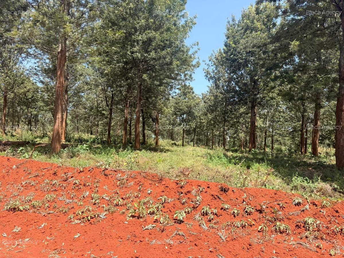 500 m² Residential Land at Ruiru-Githunguri Road - 4