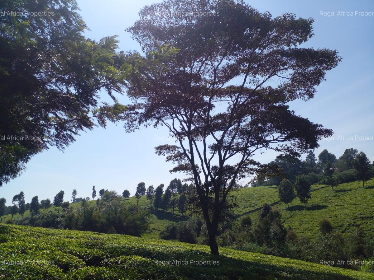 5 ac Land at Tigoni - 2