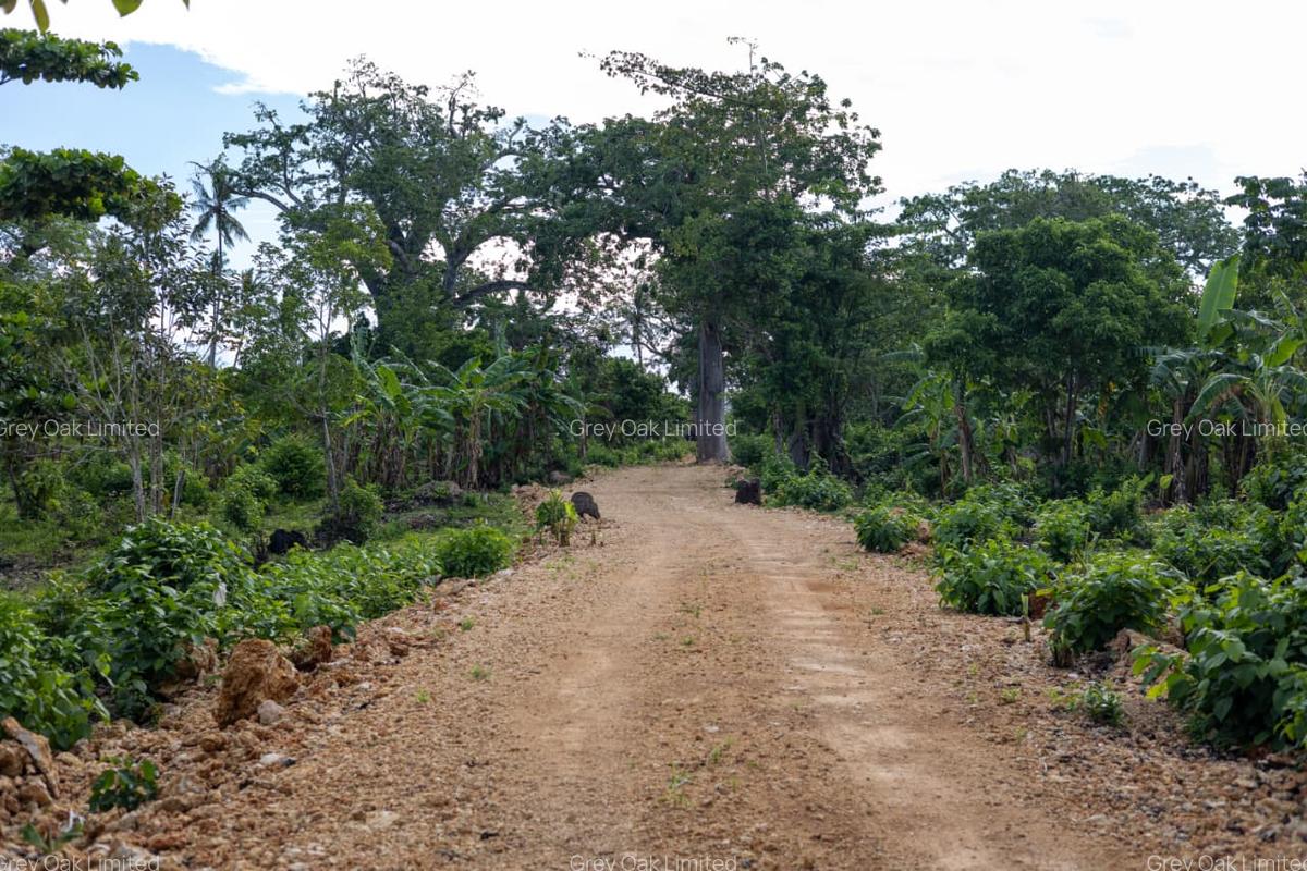 0.0405 ha Residential Land at Galu Beach Diani Beach Road - 8