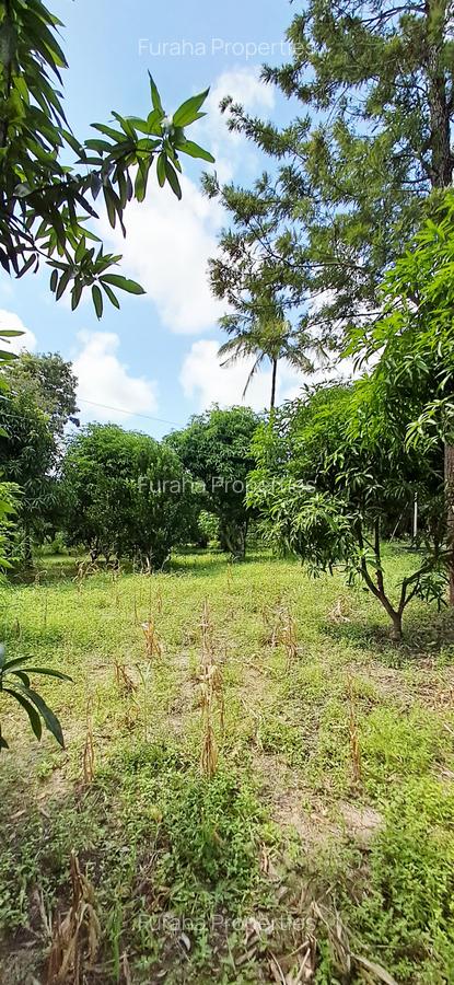 Land at Mtwapa - 4