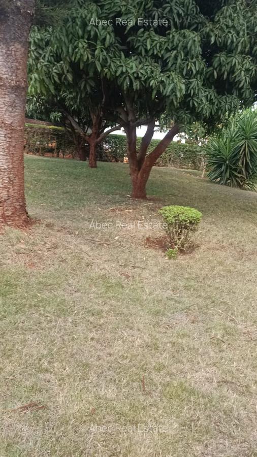 0.25 ac Land in Thika - 1