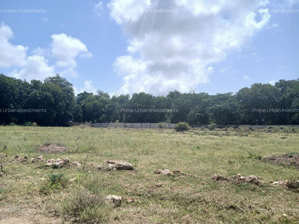 1,000 m² Residential Land at Vipingo - Kuruwitu - 18