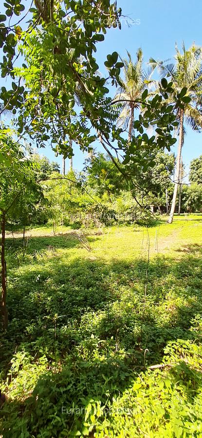 Land at Mtwapa - 19