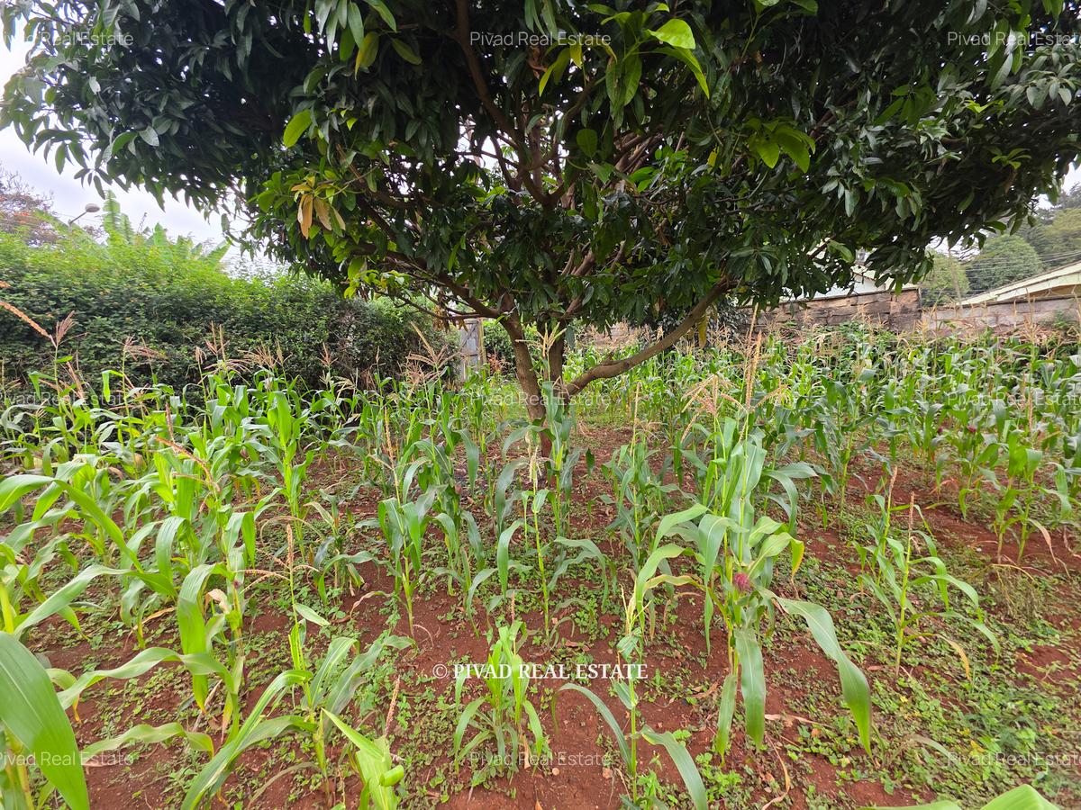 0.5 ac Land in Runda - 2