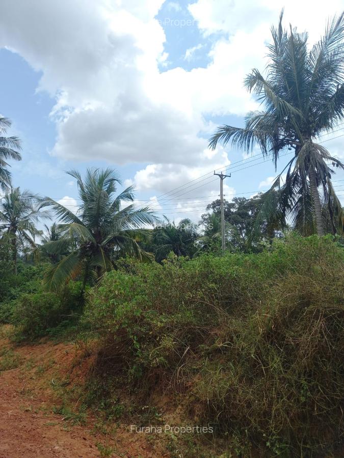 6 ac Land at Msambweni - 4