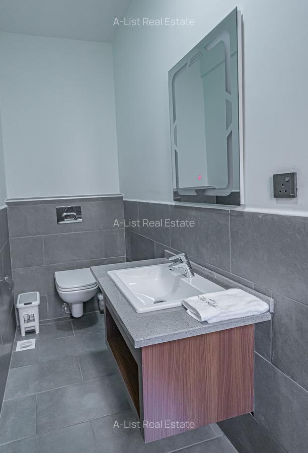 Furnished 1 Bed Apartment with En Suite at Spring Valley - 10