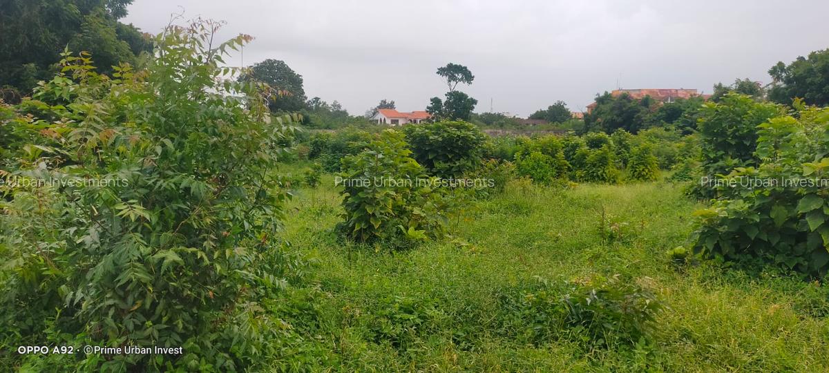 Land in Shanzu - 13