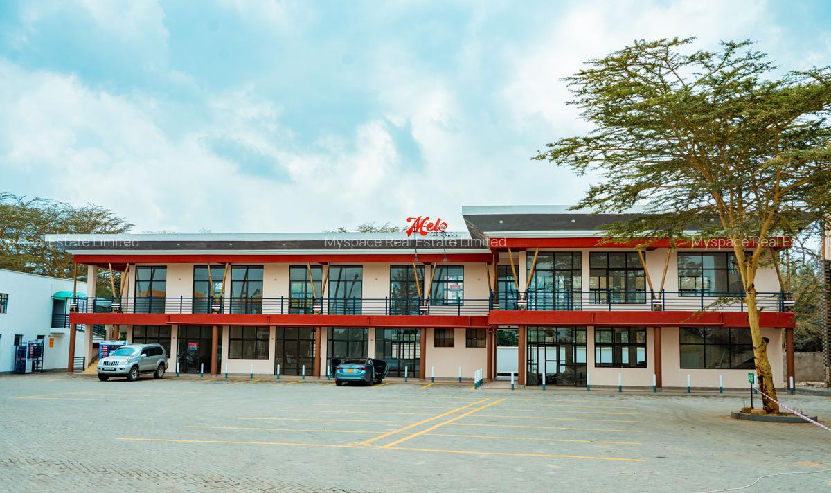 Commercial Property with Backup Generator in Karen - 1