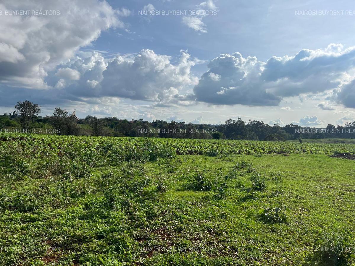 25 ac Land in Kitisuru - 1