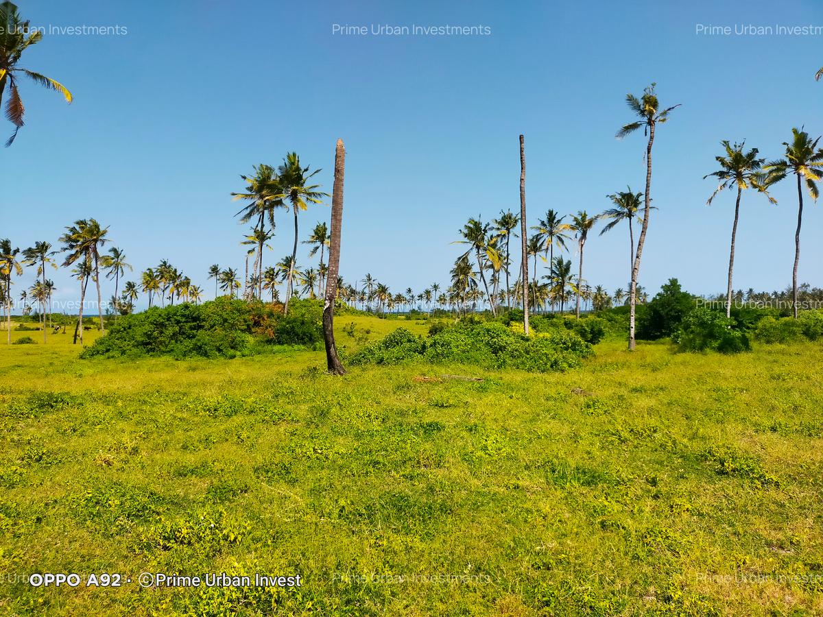 Land at Kilifi Bofa Beach - 18