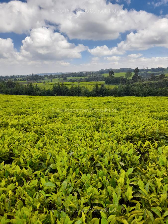 0.5 ac Land at Riara Ridge Tigoni - 4