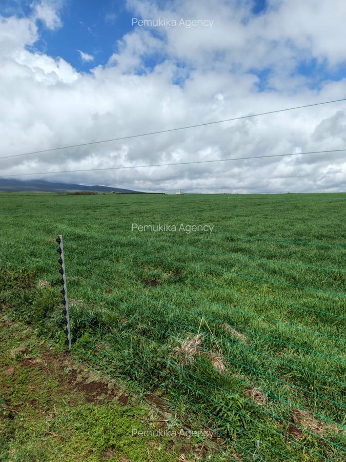 314 ac Land at Timau - 13