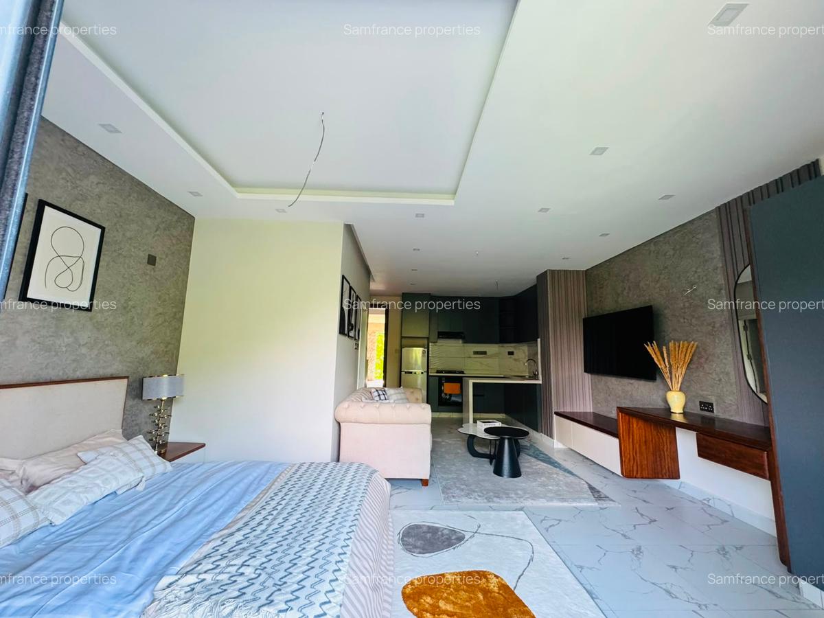 Serviced Studio Apartment with En Suite at Volume Road - 2