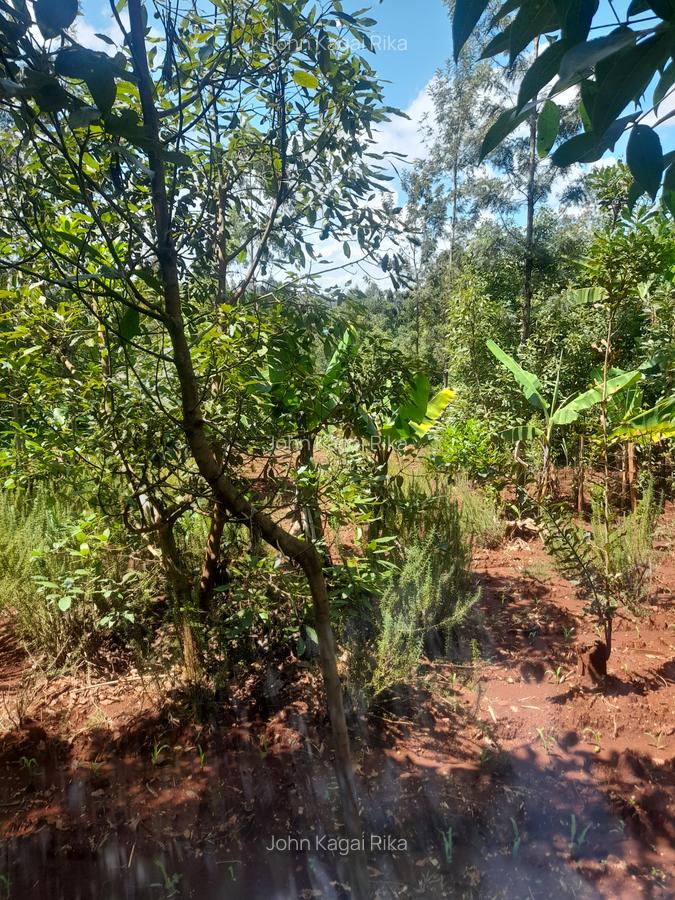 1.0 ac Land at Kandara Road - 10