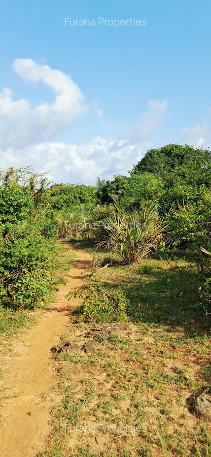 Land at Tiwi Near Diani South Coast - 9