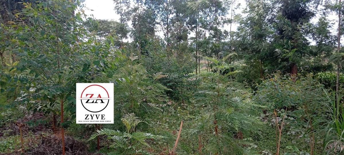 0.125 ac Land at Kasphat Estate - 16