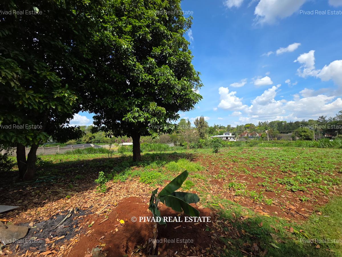 5.7 ac Land in Runda - 1
