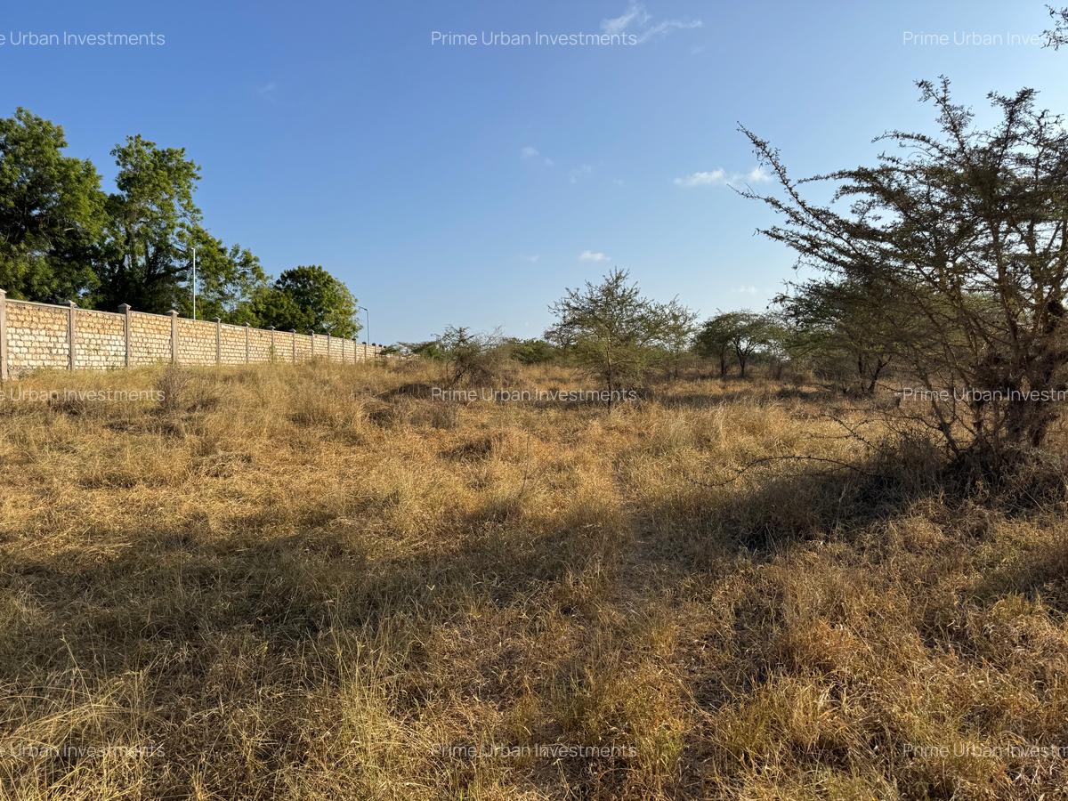 108 ac Land at Kilifi Plantation - 10