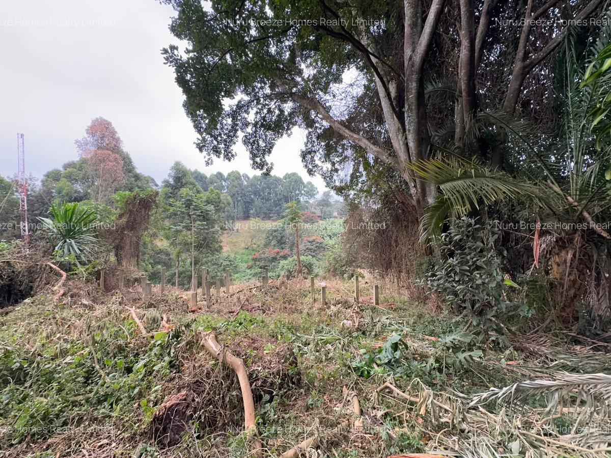 1 ac Land in Kitisuru - 11