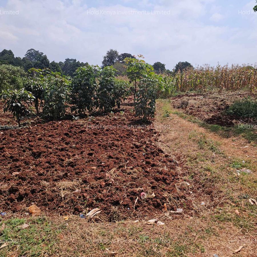 10 ac Land at Kirawa Road - 5