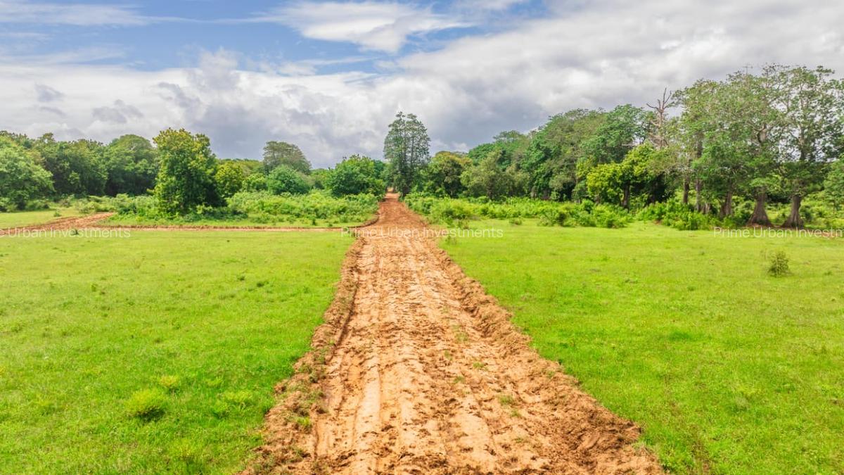 1,012 m² Residential Land at Kuruwitu Blue Green Estate Vipingo - 8